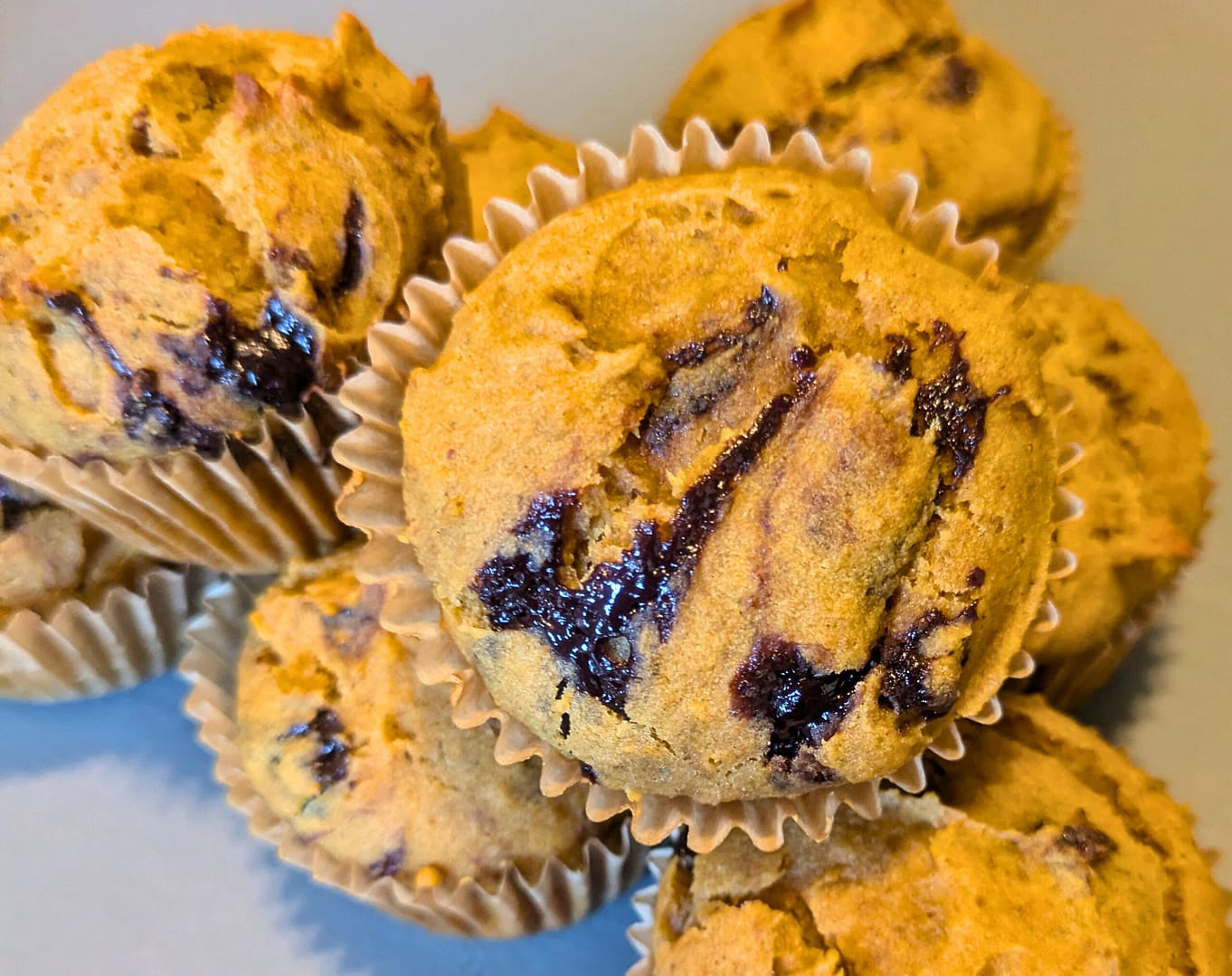 gluten free pumpkin chocolate chip muffins